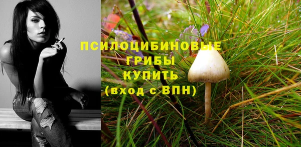 PSILOCYBIN Абаза