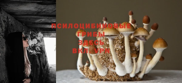 герыч Абинск