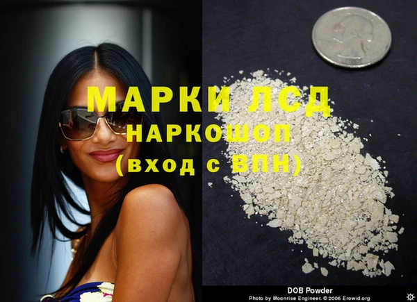 мдпв Рославль