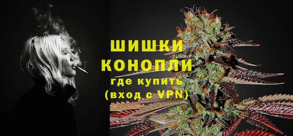 PSILOCYBIN Абаза
