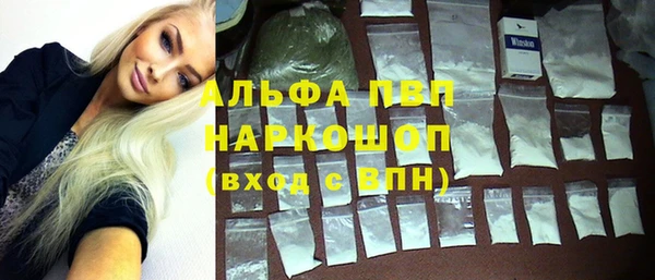мдпв Рославль