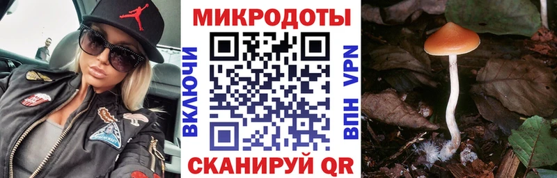 blacksprut сайт Белая Калитва Галлюциногенные грибы ЛСД закладки