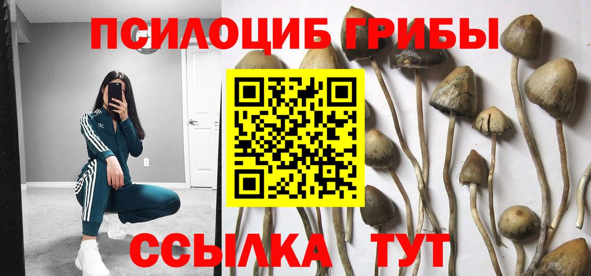 Белая Калитва  Псилоцибиновые грибы Magic Shrooms  Вход с VPN  Галлюциногенные грибы ЛСД 